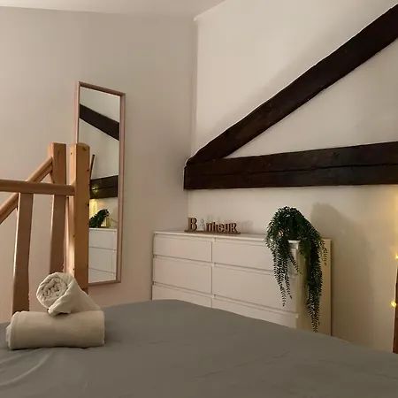 Loft Boheme Et Cosy Appartement