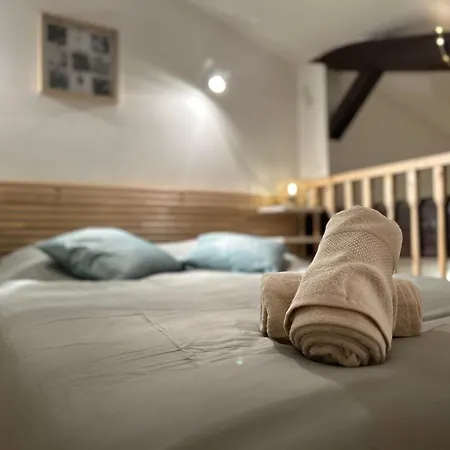 Loft Boheme Et Cosy