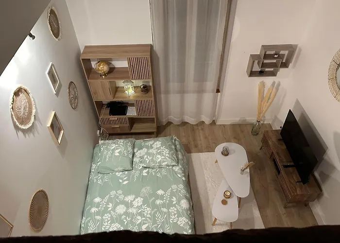 Apartment Loft Boheme Et Cosy Montauban