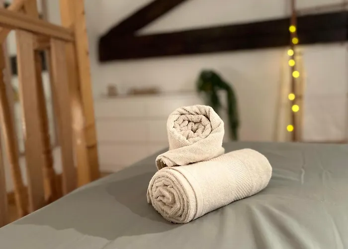 Loft Boheme Et Cosy * Montauban